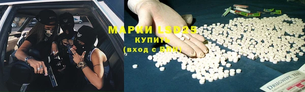 ПСИЛОЦИБИНОВЫЕ ГРИБЫ Алексеевка