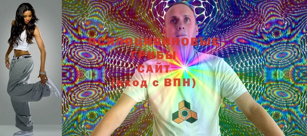 ПСИЛОЦИБИНОВЫЕ ГРИБЫ Алексеевка