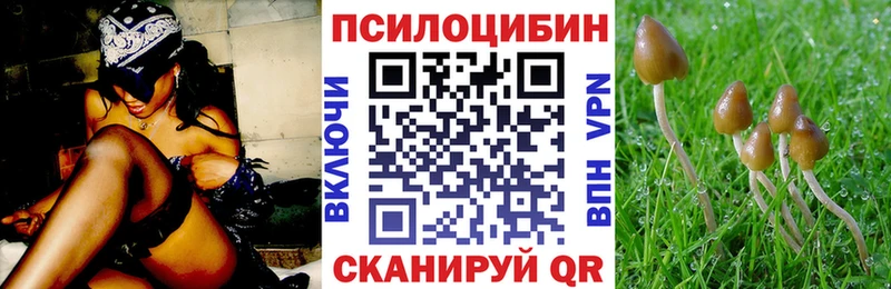Купить где  Солигалич  Псилоцибиновые грибы прущие грибы 