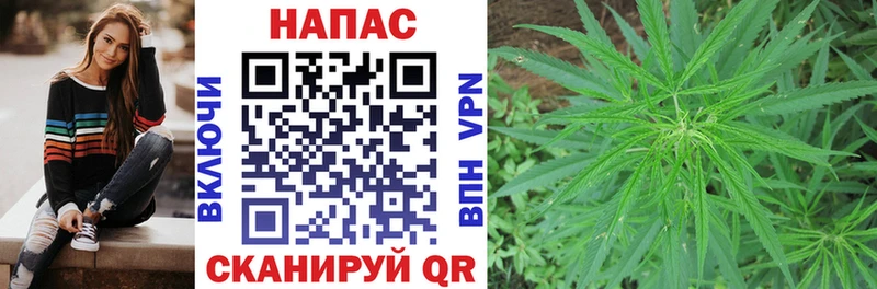 Купить где  Солигалич  Бошки марихуана AK-47 